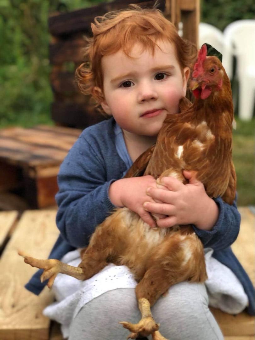 Enfant - poules - nature Enfant - poules - nature