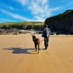 Camping Pré de la Mer 🌅 en Bzh